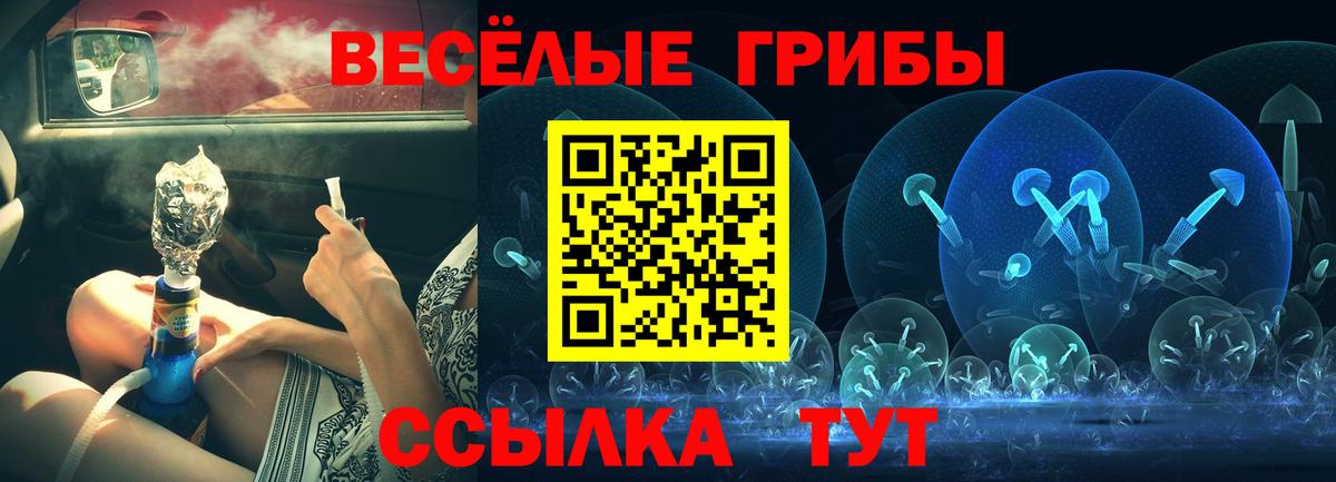 Псилоцибиновые грибы MAGIC MUSHROOMS  Псилоцибиновые грибы ЛСД  Вход с VPN  Зерноград 